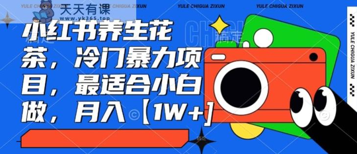 小红书养生花茶，冷门暴力项目，最适合小白做，月入【1W+】-天天有课网