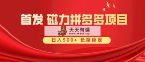 首发 磁力拼多多自撸  日入500+-天天有课网