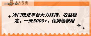 冷门玩法平台大力扶持，收益稳定，一天5000+，保姆级教程-天天有课网