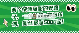 两个快速涨粉的野路子，一个特效+神奇布偶，粉丝暴涨5000起！-天天有课网