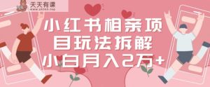 小红书相亲项目玩法拆解，有人通过这个副业项目做到了月收入2万多【揭秘】-天天有课网