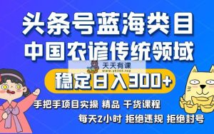 今日头条号蓝海类目传统和民间谚语行业实际操作开放课程回绝违反规定封禁平稳日入300-天天有课网