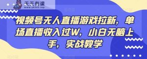 视频号无人直播游戏拉新,单场直播收入过W,小白无脑上手,实战教学-天天有课网