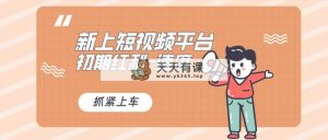 又一个全新短视频app，疑是大佬佳作，新手入门进入前期红利的重要，想…-天天有课网