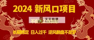 2024新蓝海项目，没有在为事业犯愁，持续稳定，日入了千 让二追三指日可待-天天有课网