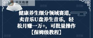 健康养生细分领域赛道,卖音乐U盘养生音乐,轻松月赚一万+,可批量操作【保姆级教程】-天天有课网