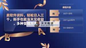 卖软件材料，轻轻松松日入三千，初学者也可以当日见盈利，多种多样变现模式，（附300…-天天有课网