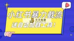 小红书的截留引流方法秘笈，简易没脑子粗鲁，日引20-30个高品质自主创业粉（送全自动加…-天天有课网