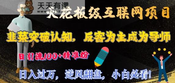 天花板级互联网项目，韭菜突破认知，反客为主成为导师，日引流100+精准粉-天天有课网
