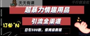 最新情趣项目引流全渠道,自带高流量,保姆级教程,轻松破百单,日引500+粉【揭秘】-天天有课网