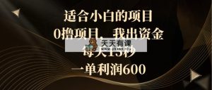 适宜新手的新项目，0撸新项目，我出资产，每日15秒，一单利润600-天天有课网