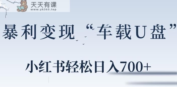 小红书“车载U盘”暴利引流，日入700+-天天有课网