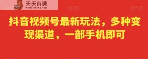 抖音视频号最新玩法，多种变现渠道，一部手机即可-天天有课网