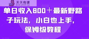 单日收入800＋最新野路子玩法，小白也上手，保姆级教程-天天有课网