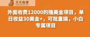 外面收费12000的撸美金项目，单日收益30美金+，可批量搞，小白专属项目-天天有课网