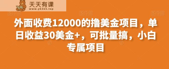 外面收费12000的撸美金项目，单日收益30美金+，可批量搞，小白专属项目-天天有课网