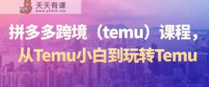 拼多多跨境课程，从Temu小白到玩转Temu-天天有课网