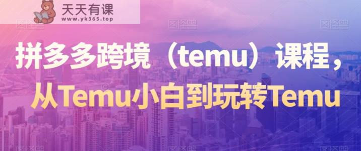 拼多多跨境课程，从Temu小白到玩转Temu-天天有课网