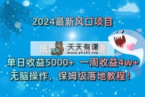 2024全新蓝海项目 高密度瀚海跑道，日盈利5000 周盈利4w  没脑子实际操作，保…-天天有课网