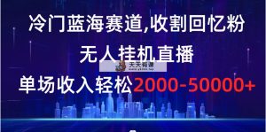 小众瀚海跑道，收种追忆粉，没有人放置挂机直播间，场均收益轻轻松松2000-5w-天天有课网