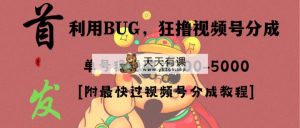 各大网站独家首发，微信视频号BUG，超短期内新项目，运单号每日纯收益300-5000！-天天有课网