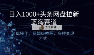 日入1000 头条网盘拉新蓝海跑道，易操作，家庭保姆级实例教程，多种多样变现模式-天天有课网