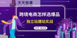 跨境电商怎样选爆品，独立站建站实战-天天有课网