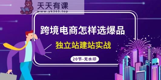 跨境电商怎样选爆品，独立站建站实战-天天有课网