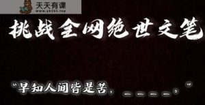 视频号小众玩法，文笔挑战，互动拉满，轻松赚取分成收益！小白也可当天上手-天天有课网