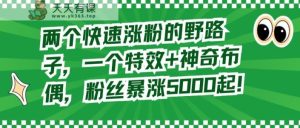两个快速涨粉的野路子，一个特效+神奇布偶，粉丝暴涨5000起【揭秘】-天天有课网