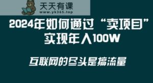2024年 做项目不如‘卖项目’更快更直接!年入100万-天天有课网