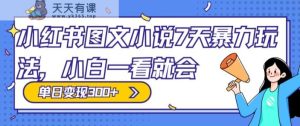 小红书图文小说7天暴力玩法，小白一看就会，单日变现300+-天天有课网