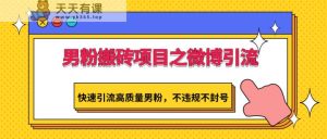 男粉搬砖项目之微博引流，快速引流高质量男粉，不违规不封号-天天有课网