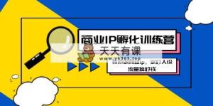 商业服务IP-卵化夏令营新版本，手把手带你商业服务Ip，搞好人物关系，总流量做好钱-天天有课网
