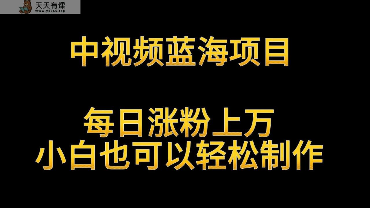 中视频蓝海项目，解读英雄人物生平，每日涨粉上万，小白也可以轻松制作，月入过万-天天有课网
