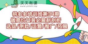 拼多多培训班第34期：做高价位品牌女装必赢利分析 选款/选款/经营/营销推广/扩展-天天有课网