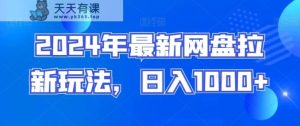 2024年最新网盘拉新玩法，日入1000+-天天有课网