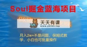 Soul掘金队蓝海项目细分赛道，做情绪价值变现，月收入2w 不是事-天天有课网
