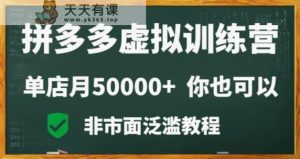 拼多多虚拟电商训练营月入30000+你也行，暴利稳定长久，副业首选-天天有课网