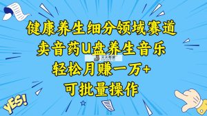 养生保健细分行业跑道，卖音药U盘养生音乐，轻轻松松月赚一万 ，可批量处理-天天有课网