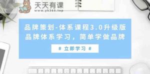 品牌策划体系课程3.0升级版,品牌体系学习,简单学做品牌-天天有课网