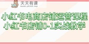 小红书电商店铺运营课程，小红书店铺0-1实战教学-天天有课网