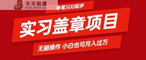 实习代盖章项目一单500起普通人可落地项目小白也可轻易上手-天天有课网