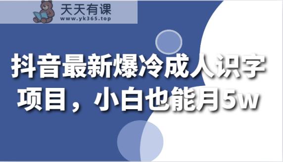 抖音最新爆冷门成年人认字新项目，新手也可以月5w-天天有课网
