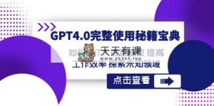 GPT4.0详细应用-秘笈宝典：怎样GPT大语言模型 提高效率 探寻未知世界-天天有课网
