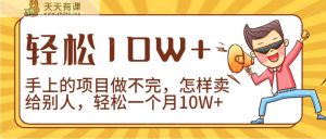 2024年一个人一台手机靠卖项目完成月收益10W-天天有课网