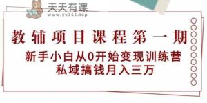 教辅书项目课程第一期:新手入门从0逐渐转现夏令营 公域弄钱月入三万-天天有课网