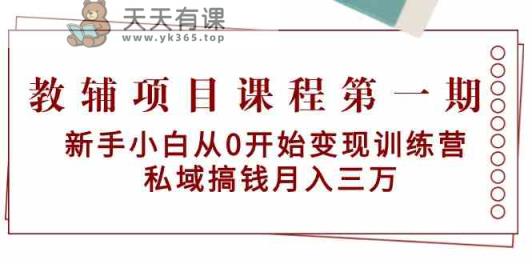 教辅书项目课程第一期：新手入门从0逐渐转现夏令营 公域弄钱月入三万-天天有课网