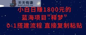 小白能日赚1800元的蓝海项目”释梦”0-1搭建流程可直接复制粘贴长期做【揭秘】-天天有课网