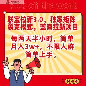 联宝瀚海引流3.0,独家代理引流矩阵裂变模式,每隔两天三十分钟,简易月入3w ,不分群体简易入门-天天有课网